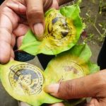 WISATA : Pasar Godong berada di Desa Kawedusan Kecamatan Plosoklaten Kabupaten Kediri (Andik Wijaya)