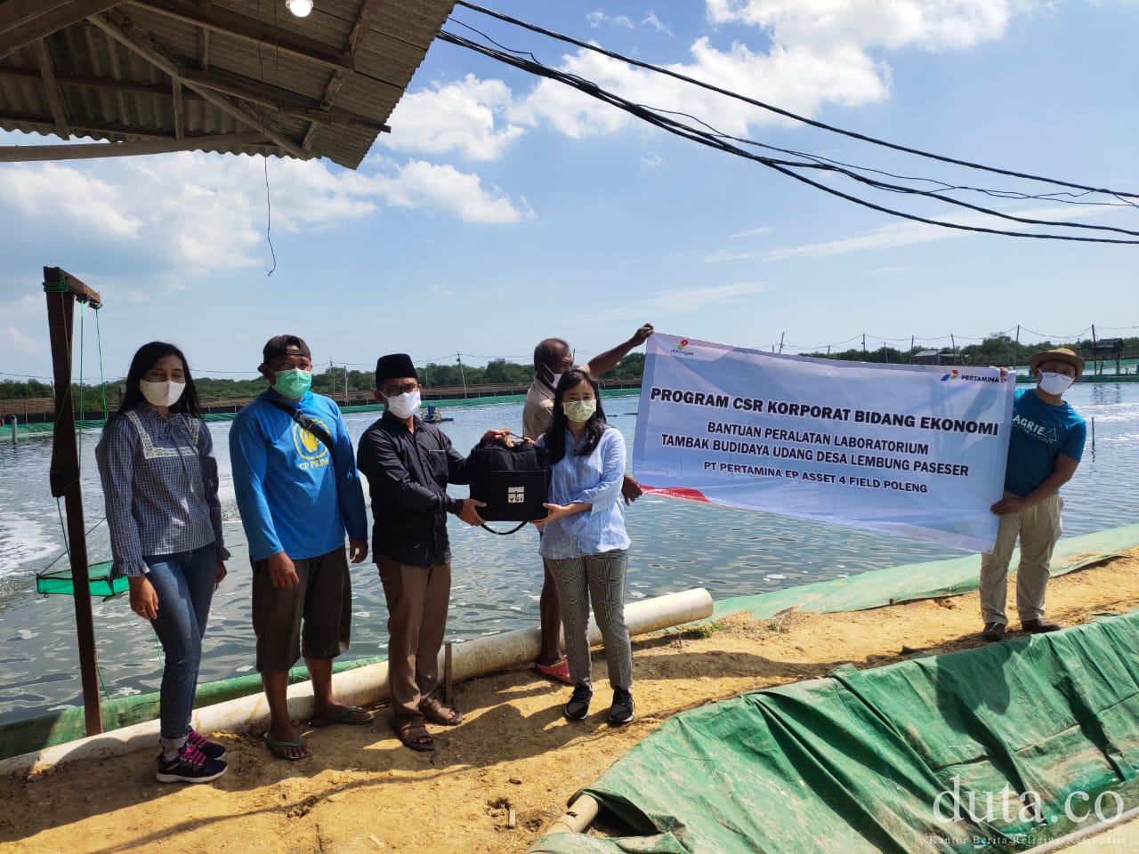 Pertamina Ep Asset 4 Poleng Jaga Kualitas Budidaya Udang Vaname Masyarakat Pesisir